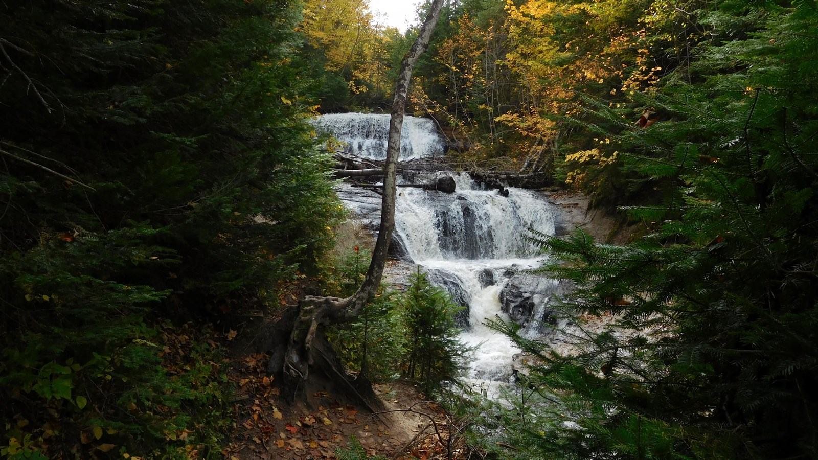 Sable Falls stepping down through the forest in early fall