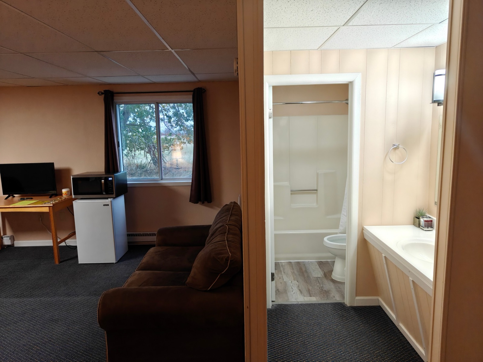 The sitting area with a sofa, fridge and microwave, the bathroom through the door